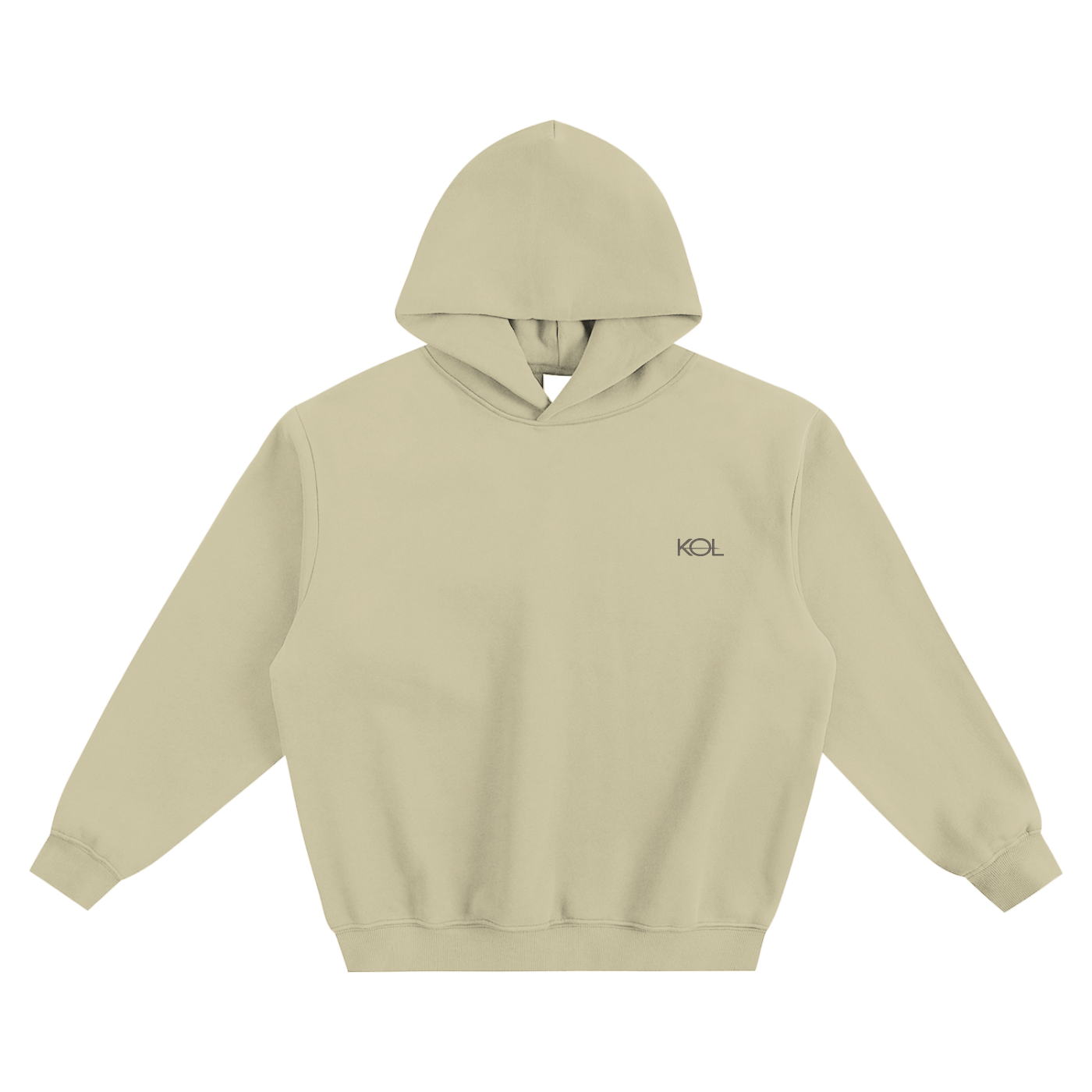 No Fixed Destination Oversized Fleeced Hoodie